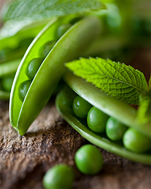 Peas used to make pea fiber