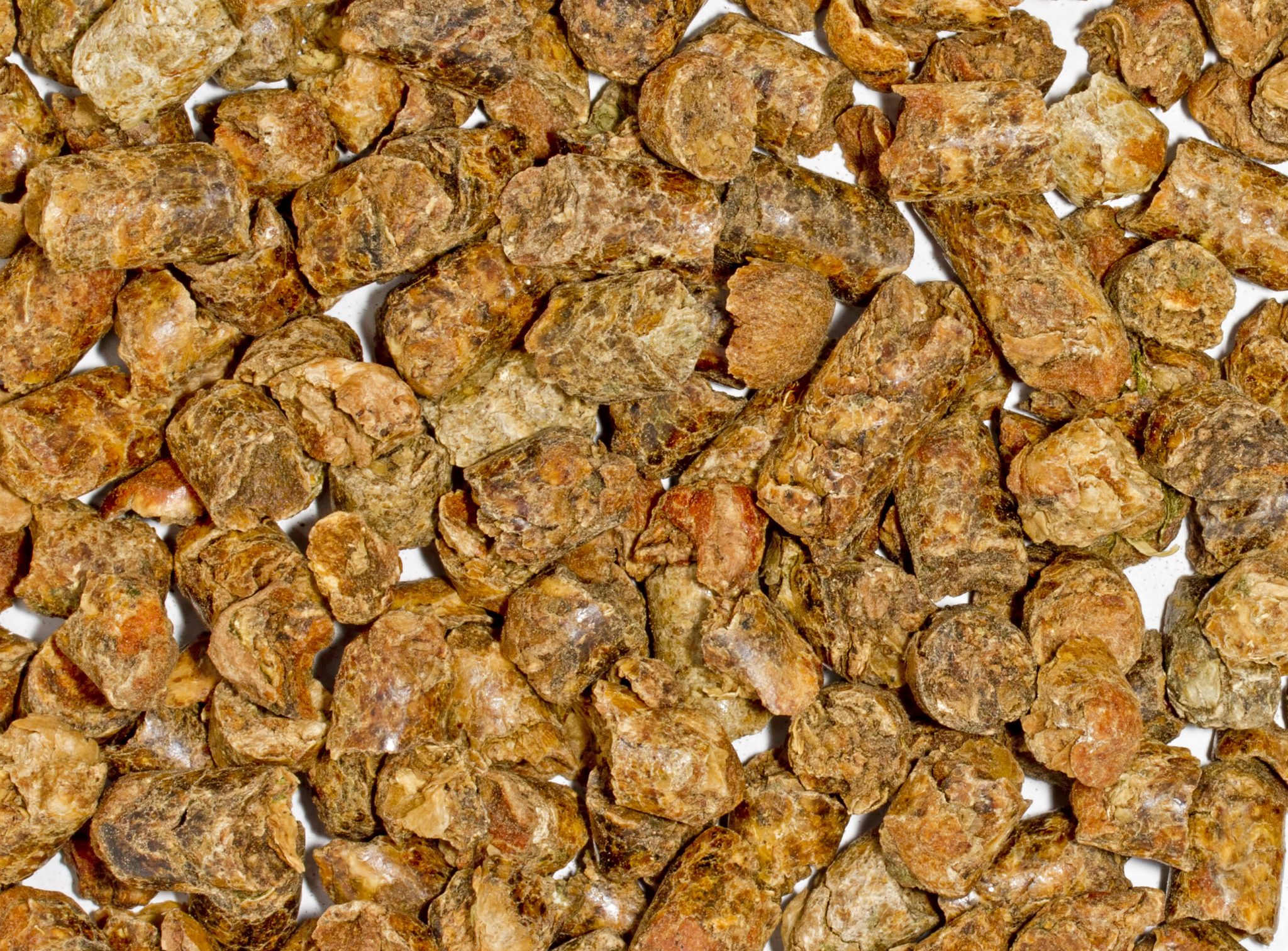 Citrus Pulp Pellets