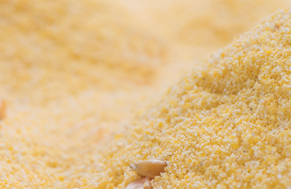 Corn Gluten Feed