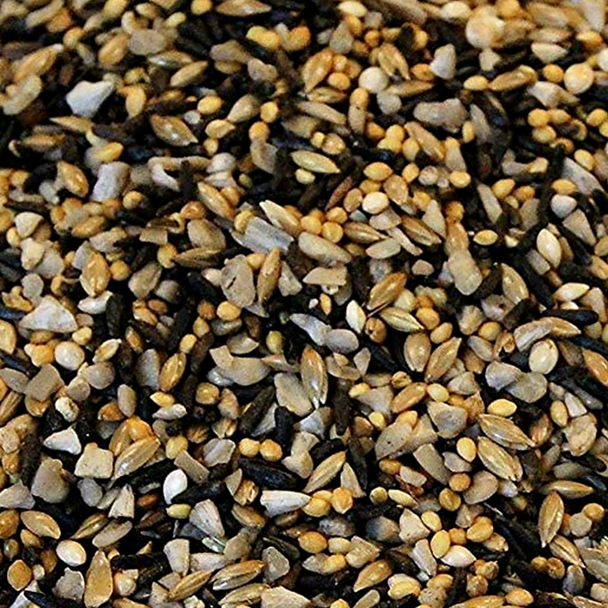 scoular bird seed