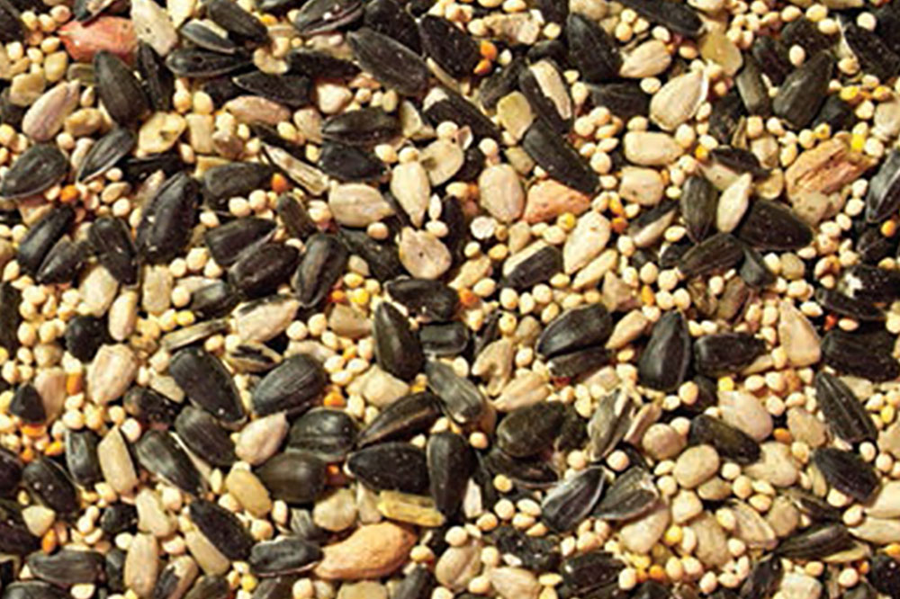 scoular bird seed