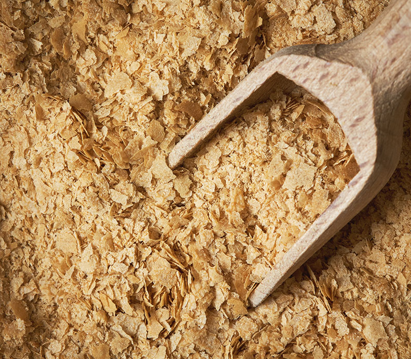 Wooden scoop on nutritional yeast flakes.