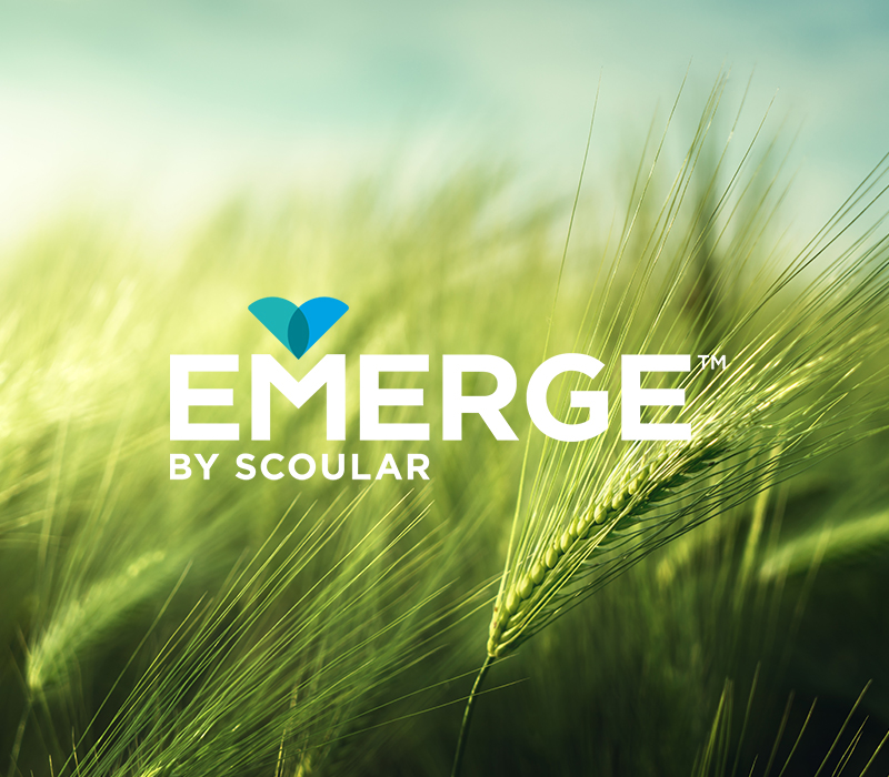 Emerge_BPC