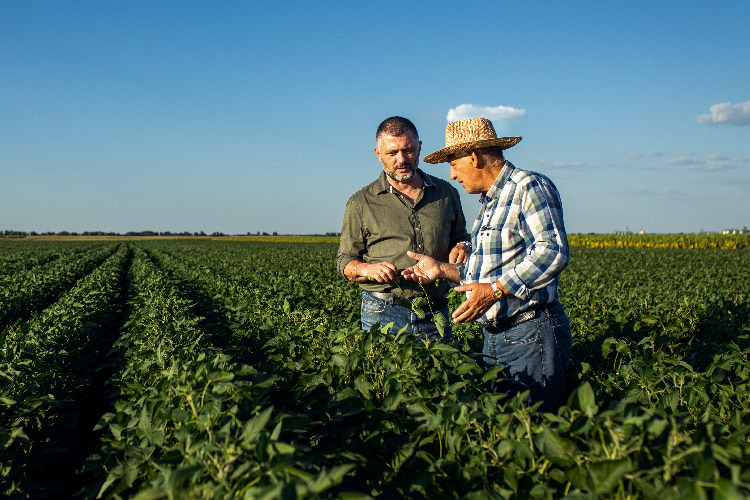 two farmers standing in a farm field